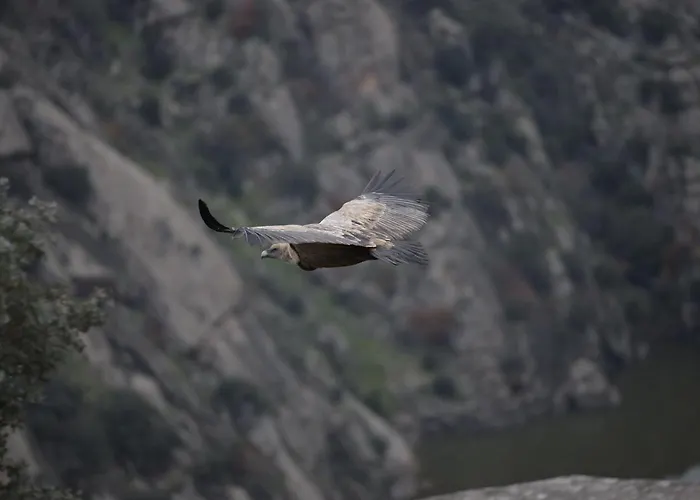 Vut Pozo De Humos Masueco